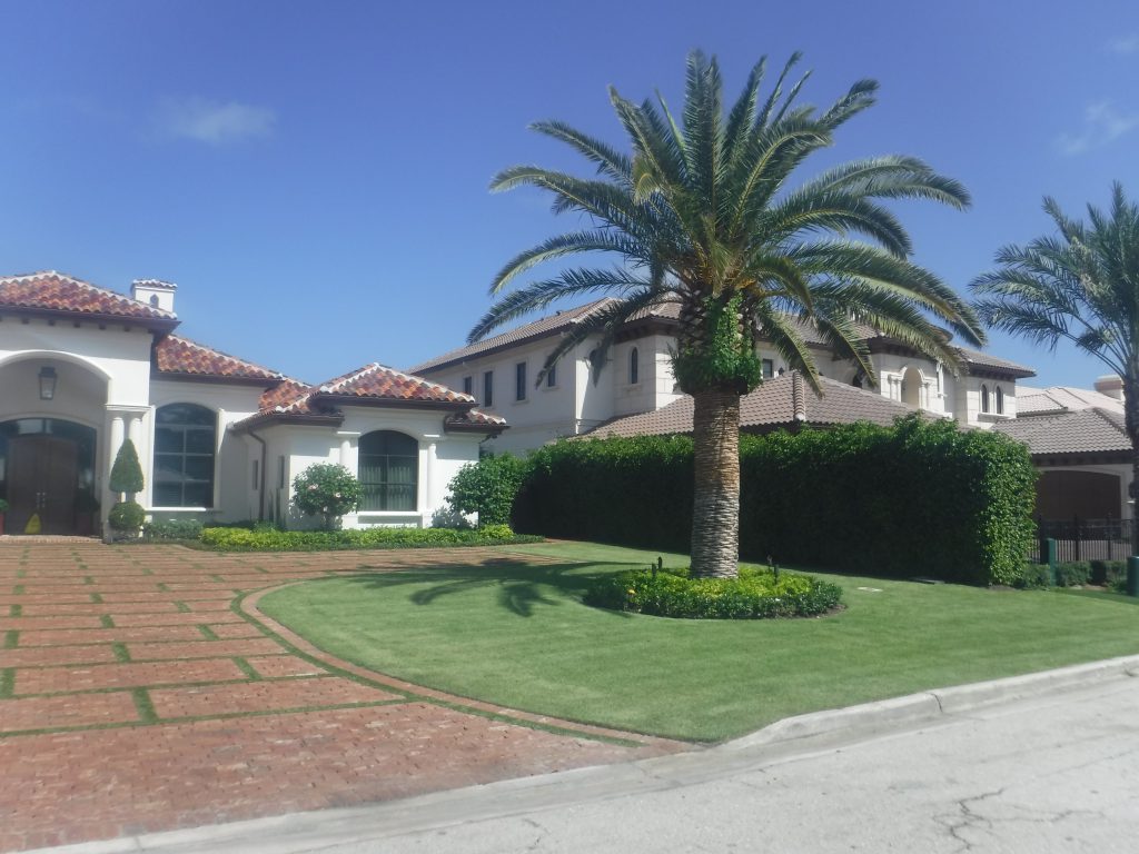 Landscaping Company, Maintaining Grass